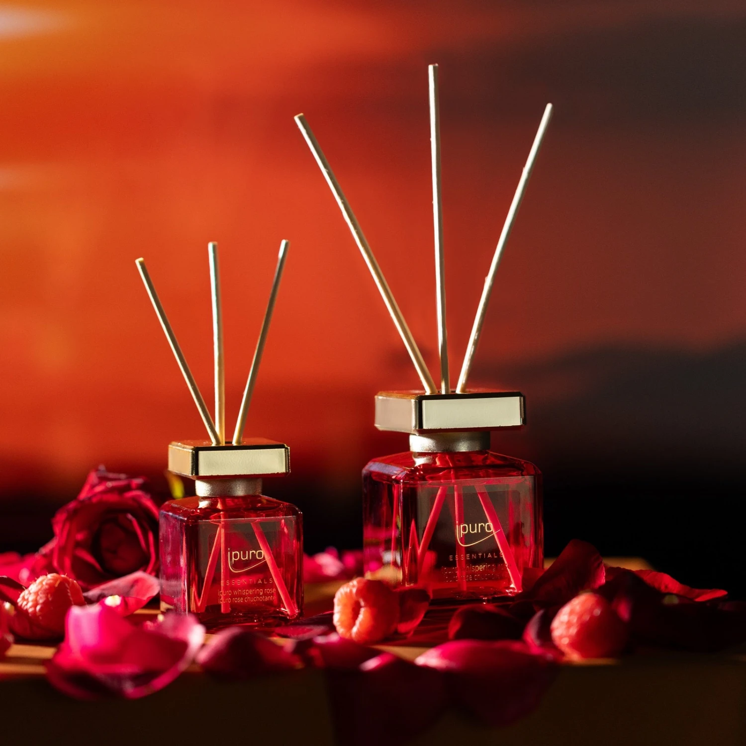 ESSENTIALS Ipuro Whispering Rose Raumduft 2 ESSENTIALS Ipuro Whispering Rose Raumduft – Bild 2
