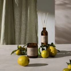 FUNCTIONALS Ipuro Citronella Raumduft -Ipuro Raumdufte Geschaft IFU1000 4 Raumduft