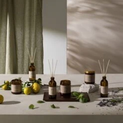 FUNCTIONALS Ipuro Basil Raumduft -Ipuro Raumdufte Geschaft IFU1001 5 Raumduft