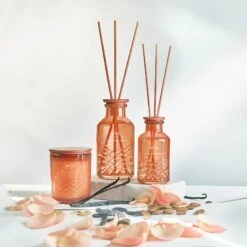 EXCLUSIVE Ipuro Fève Tonka Duftkerze -Ipuro Raumdufte Geschaft feve tonka Kollektion