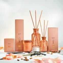 EXCLUSIVE Ipuro Fève Tonka Duftkerze -Ipuro Raumdufte Geschaft feve tonka Kollektion Verpackung