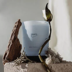 Titelseite -Ipuro Raumdufte Geschaft ipuro balance Kerze f8906205 bc9a 46fe 87b7 dcb6b9899861