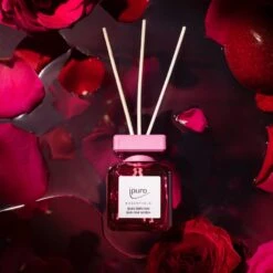 ESSENTIALS Ipuro Dark Rose -Ipuro Raumdufte Geschaft ipuro essentials dark rose 100ml 1279x1600 1