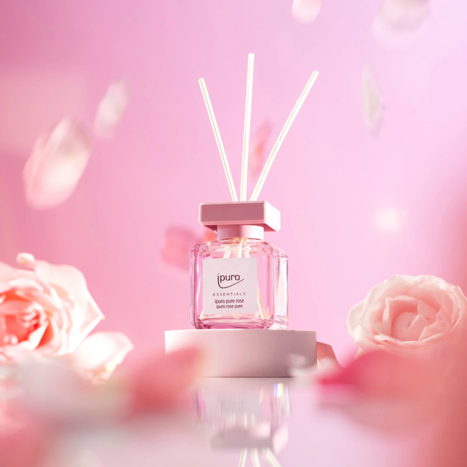 ESSENTIALS Ipuro Light Rose & Pure Rose Raumduft-Set 5 ESSENTIALS Ipuro Light Rose & Pure Rose Raumduft-Set – Bild 5