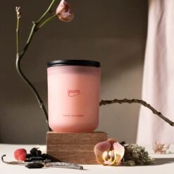 Titelseite -Ipuro Raumdufte Geschaft ipuro orchidee Kerze