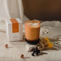 CLASSIC Ipuro Vitalité Duftkerze -Ipuro Raumdufte Geschaft ipuro vitalite Kerze Verpackung