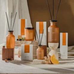 CLASSIC Ipuro Vitalité Duftkerze -Ipuro Raumdufte Geschaft ipuro vitalite Kollektion Verpackung