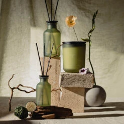 CLASSIC Ipuro Bergamote Duftkerze -Ipuro Raumdufte Geschaft ipuro bergamotte Kollektion 1